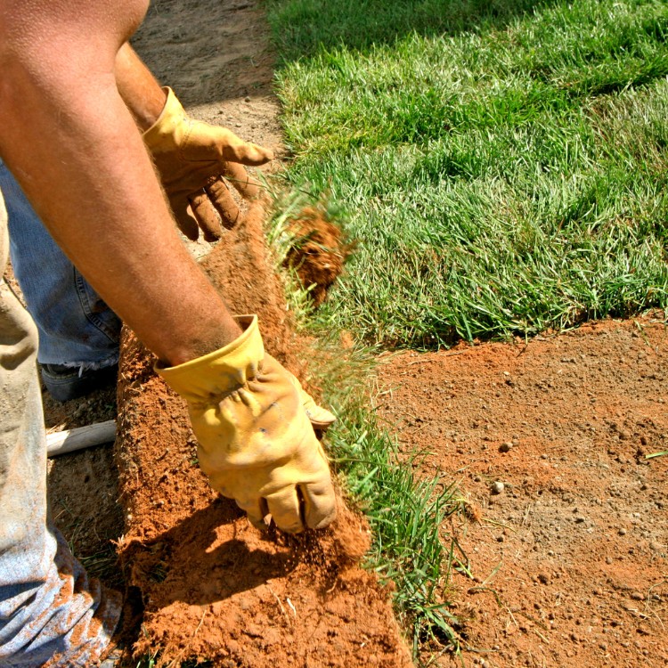 Landscaping in West Yarmouth, MA