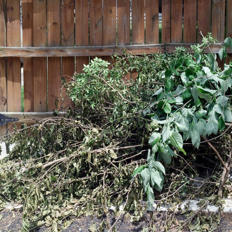 Landscaping in West Yarmouth, MA